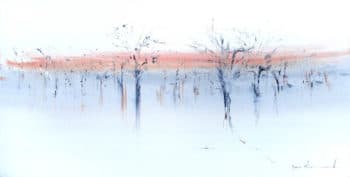 Magical Trees
